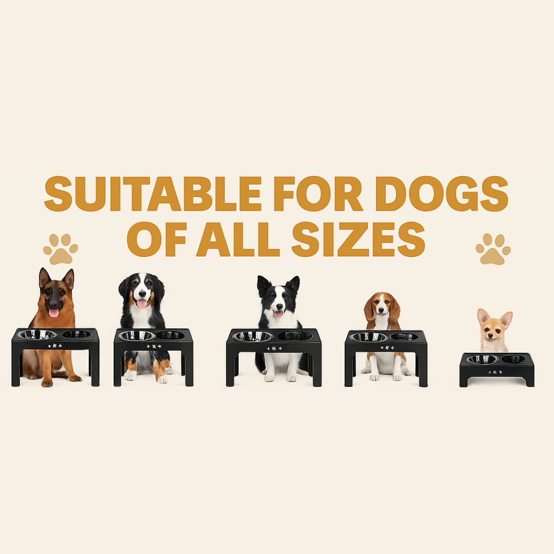 The Pawsture Stand