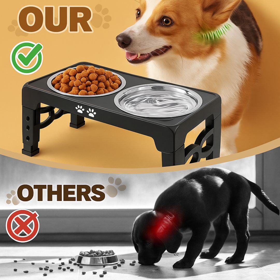 The Pawsture Stand