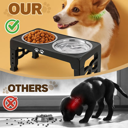 The Pawsture Stand