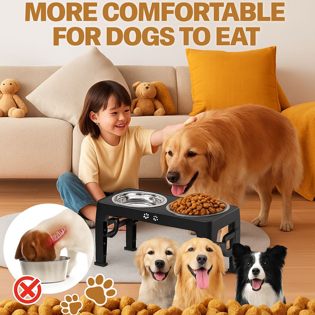 The Pawsture Stand
