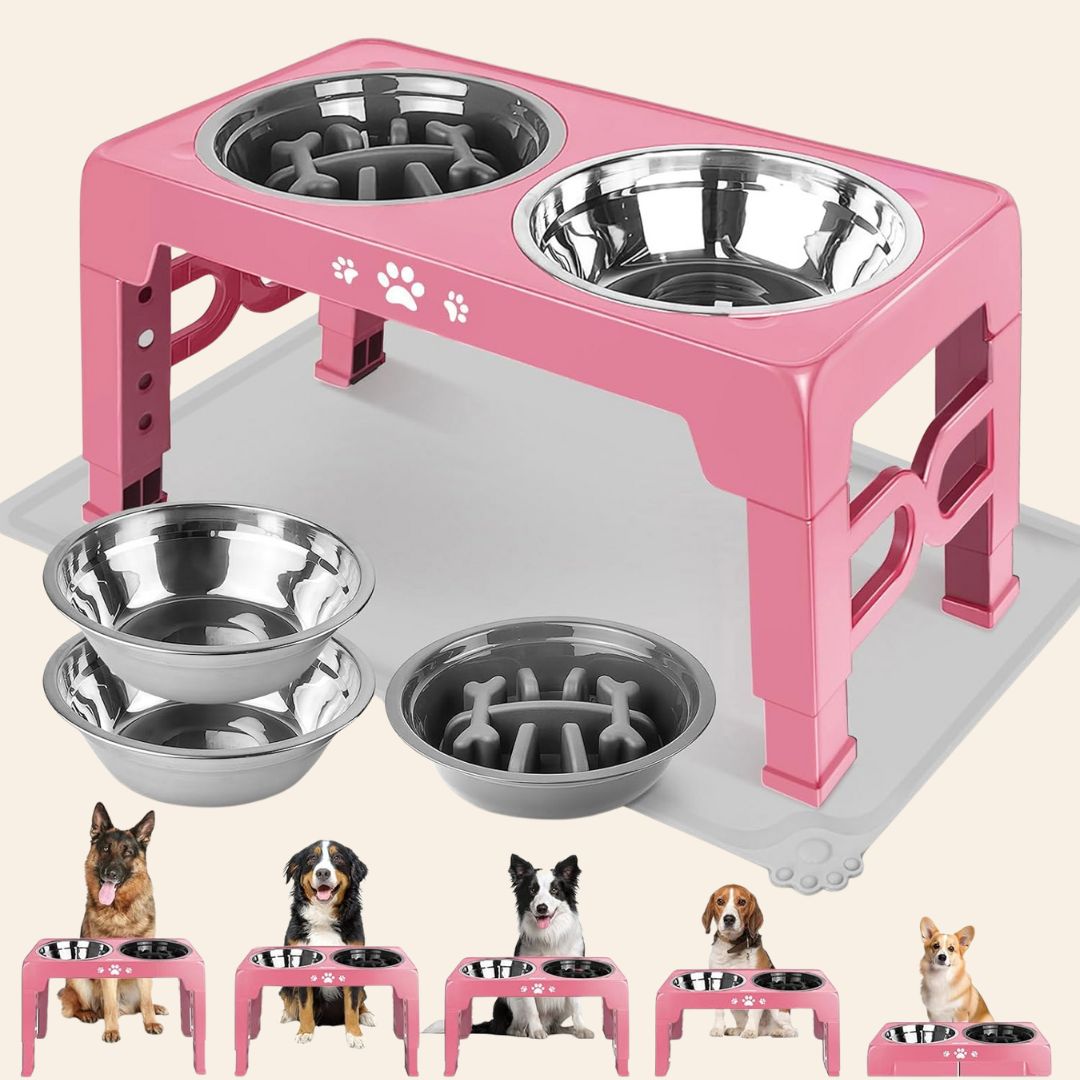 The Pawsture Stand