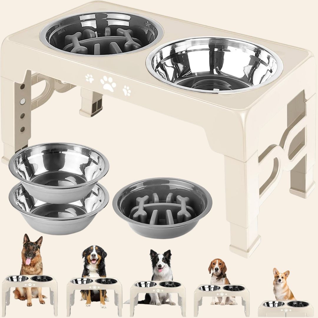 The Pawsture Stand