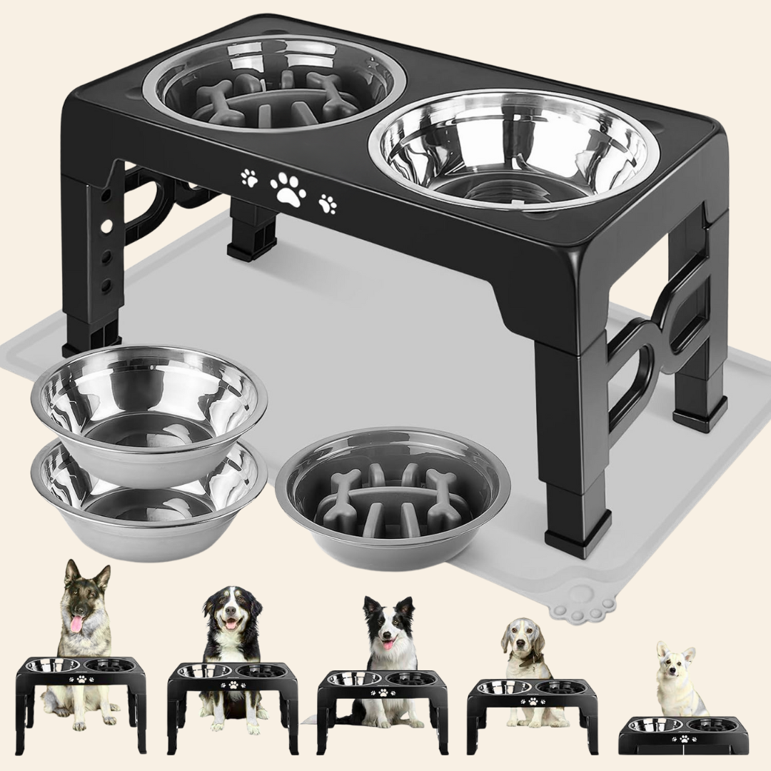 The Pawsture Stand