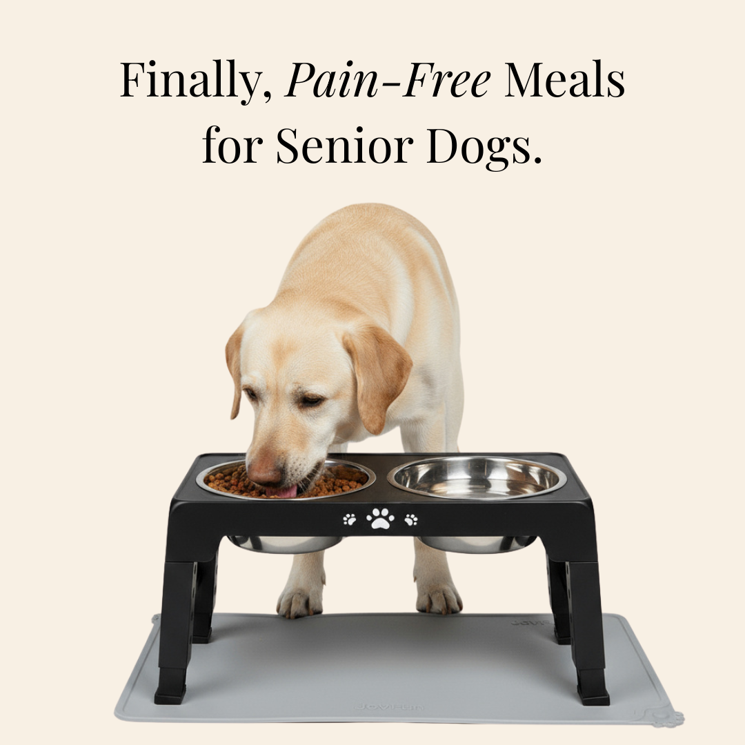 The Pawsture Stand